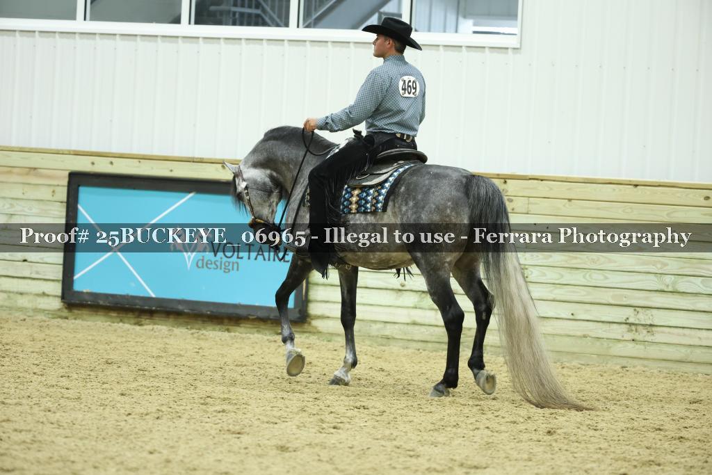 Proof Number 25BUCKEYE_06965