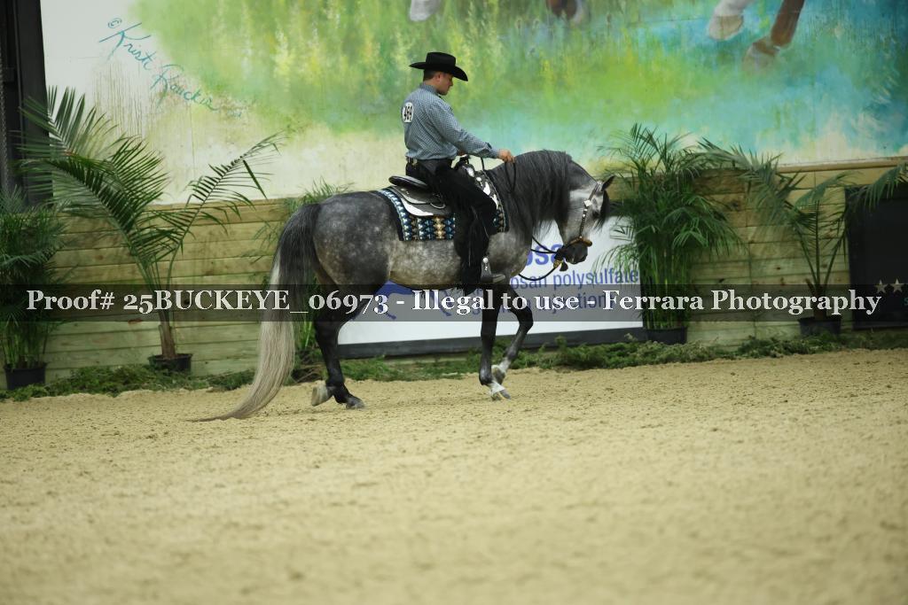 Proof Number 25BUCKEYE_06973