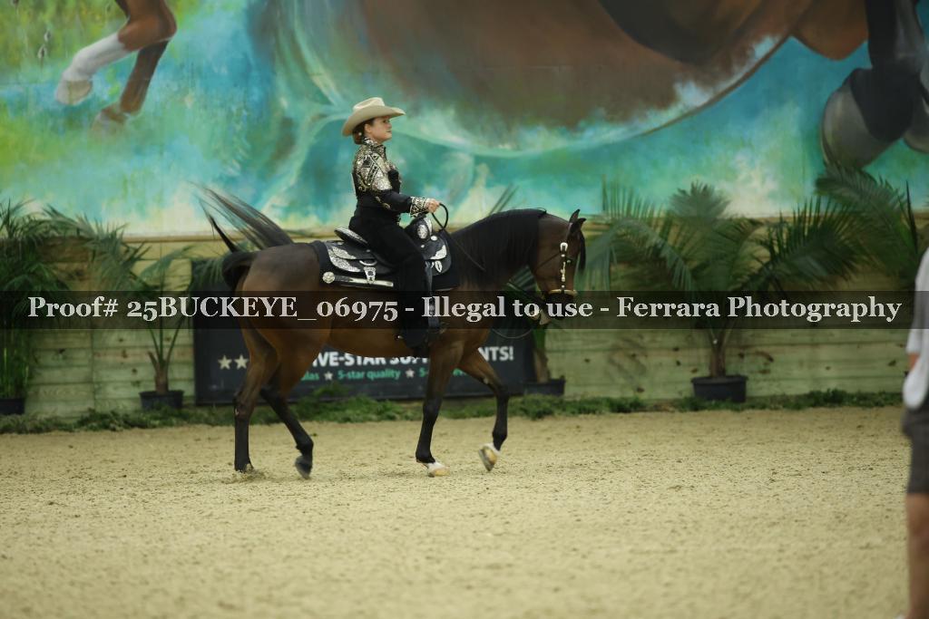 Proof Number 25BUCKEYE_06975