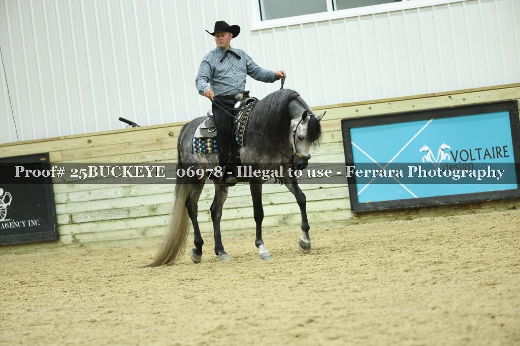 Proof Number 25BUCKEYE_06978