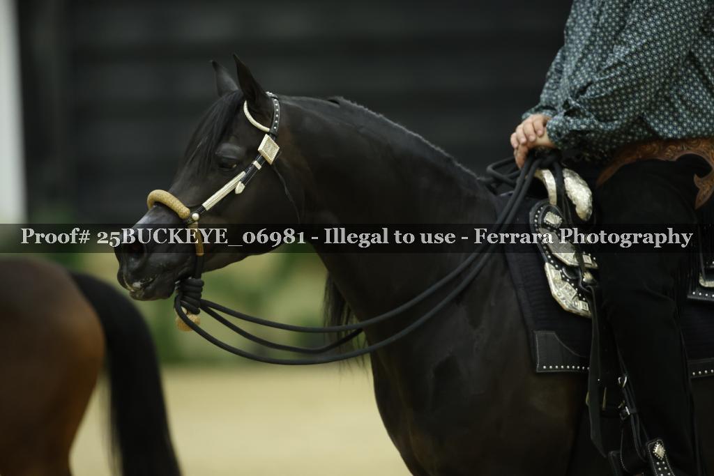Proof Number 25BUCKEYE_06981
