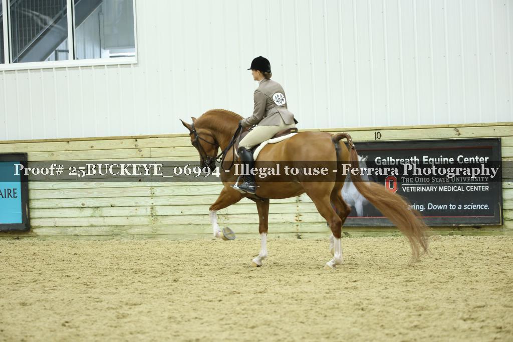 Proof Number 25BUCKEYE_06994