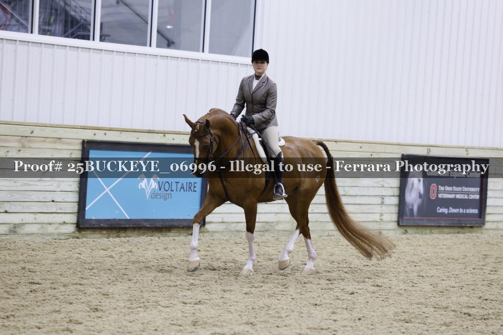 Proof Number 25BUCKEYE_06996