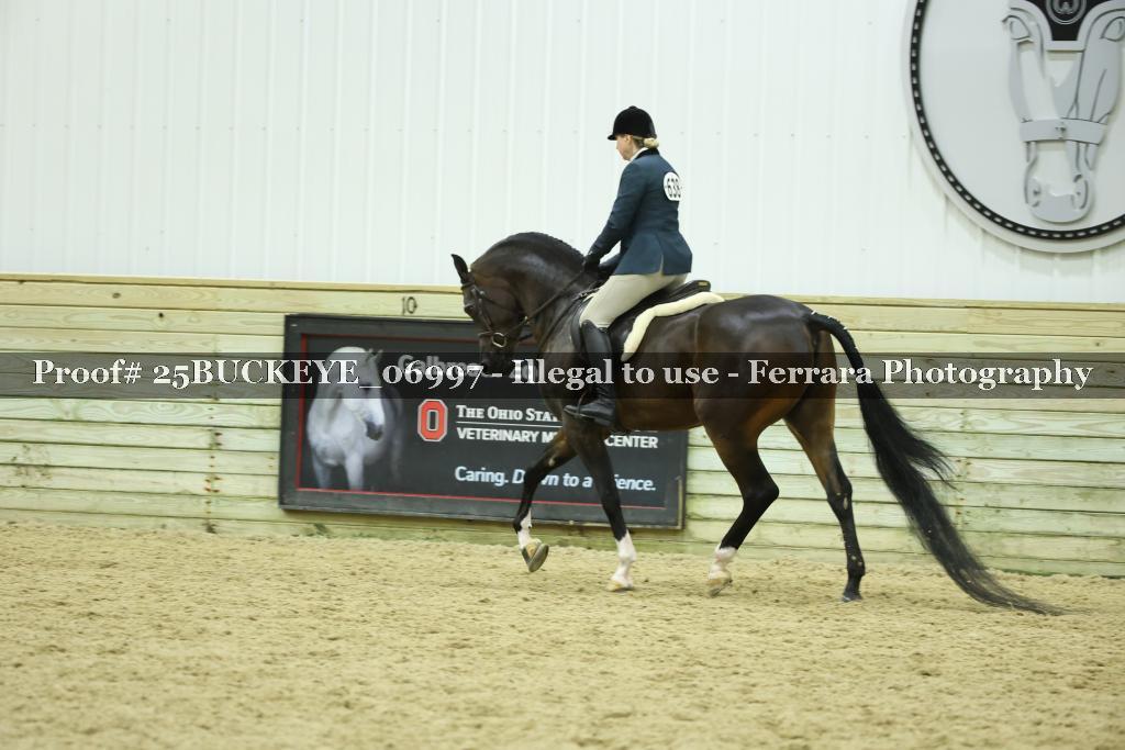 Proof Number 25BUCKEYE_06997