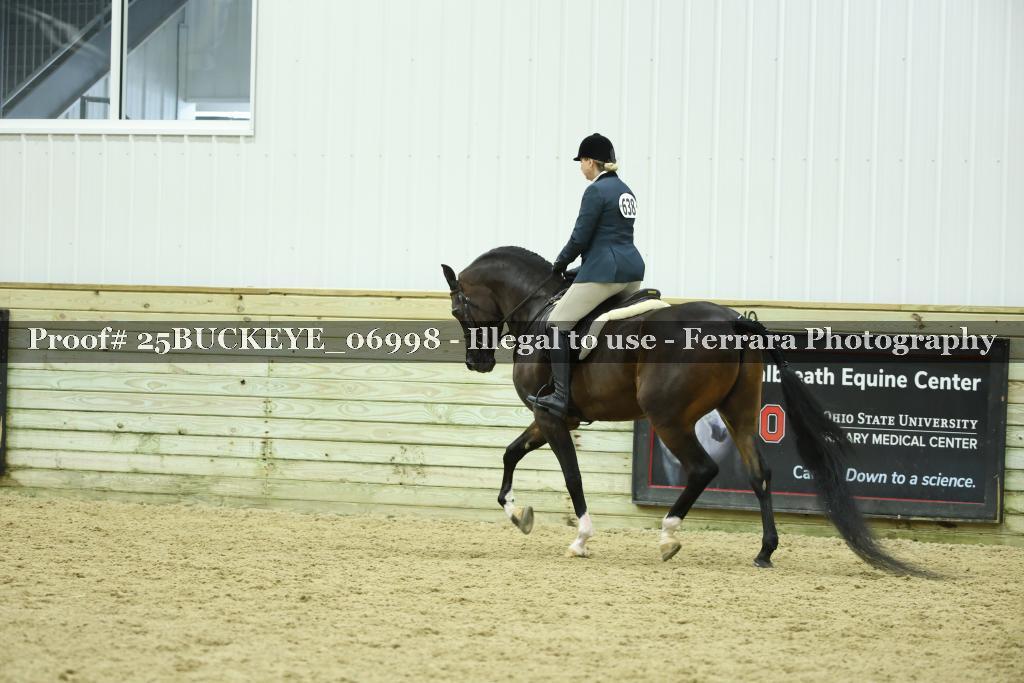 Proof Number 25BUCKEYE_06998