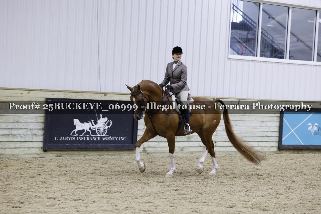 Proof Number 25BUCKEYE_06999