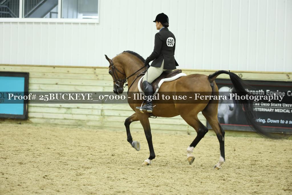 Proof Number 25BUCKEYE_07000