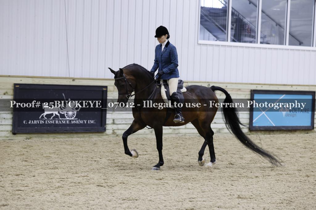 Proof Number 25BUCKEYE_07012