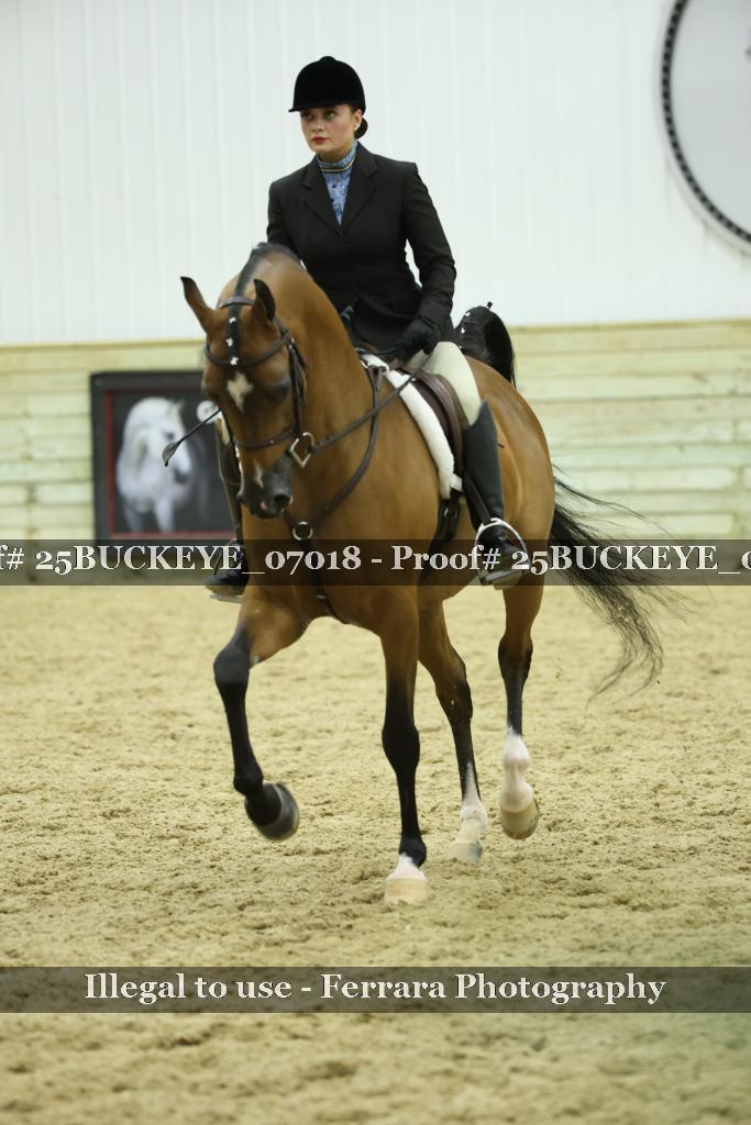 Proof Number 25BUCKEYE_07018