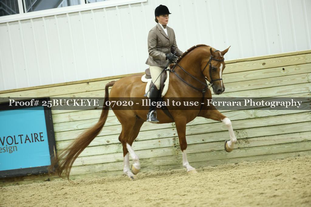 Proof Number 25BUCKEYE_07020