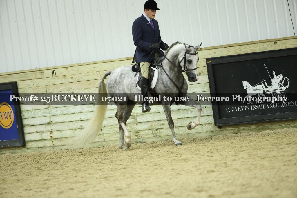 Proof Number 25BUCKEYE_07021