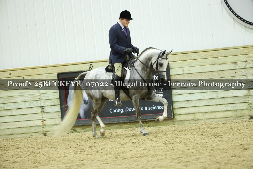Proof Number 25BUCKEYE_07022