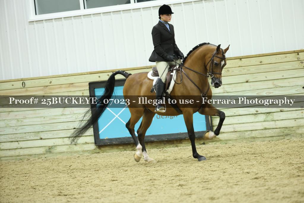 Proof Number 25BUCKEYE_07023