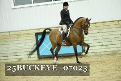 25BUCKEYE_07023 thumbnail