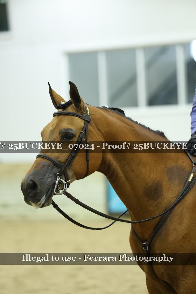 Proof Number 25BUCKEYE_07024