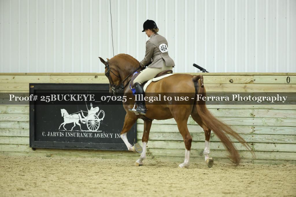 Proof Number 25BUCKEYE_07025