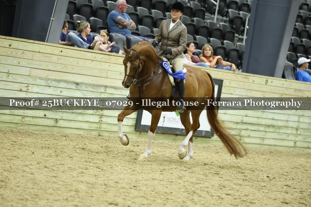 Proof Number 25BUCKEYE_07029