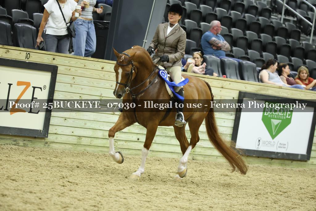 Proof Number 25BUCKEYE_07030