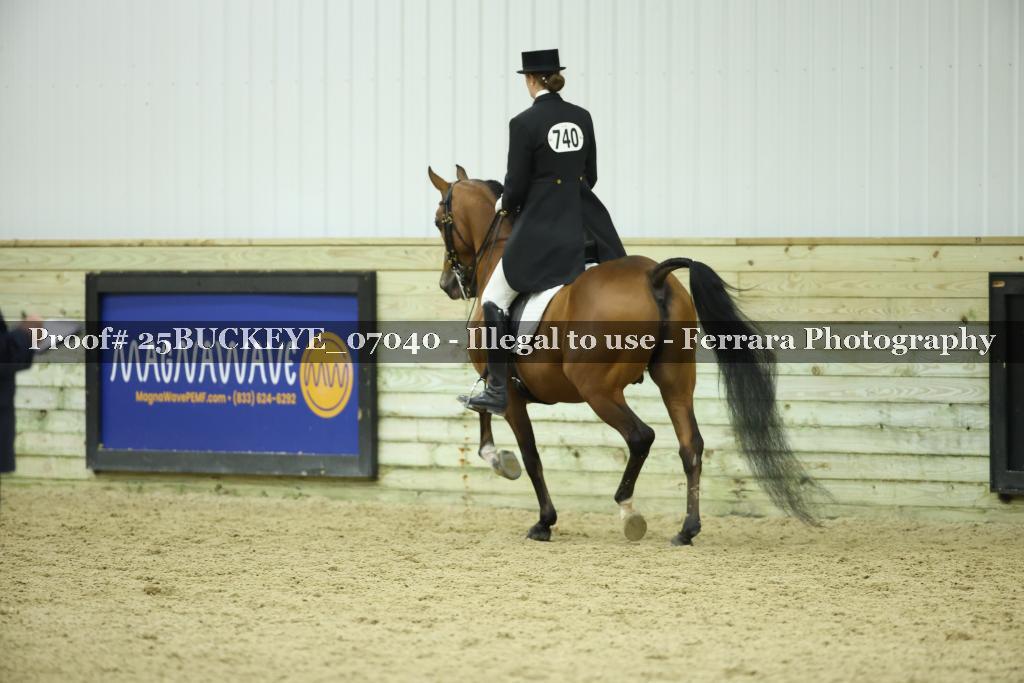 Proof Number 25BUCKEYE_07040
