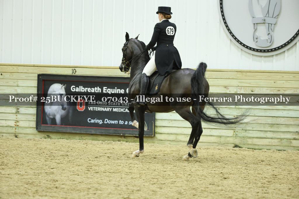Proof Number 25BUCKEYE_07043