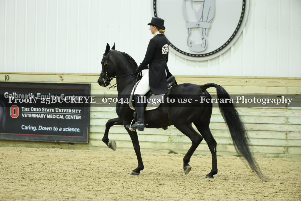 Proof Number 25BUCKEYE_07044