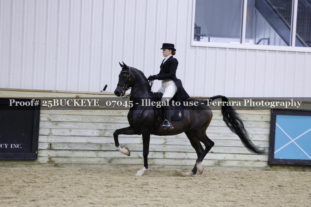 Proof Number 25BUCKEYE_07045