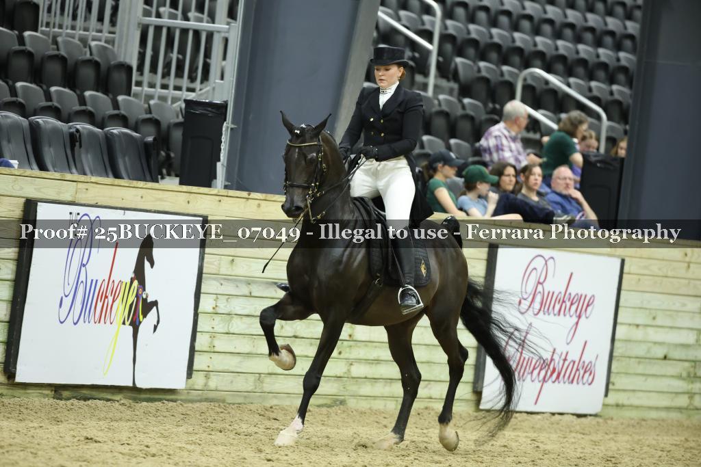 Proof Number 25BUCKEYE_07049