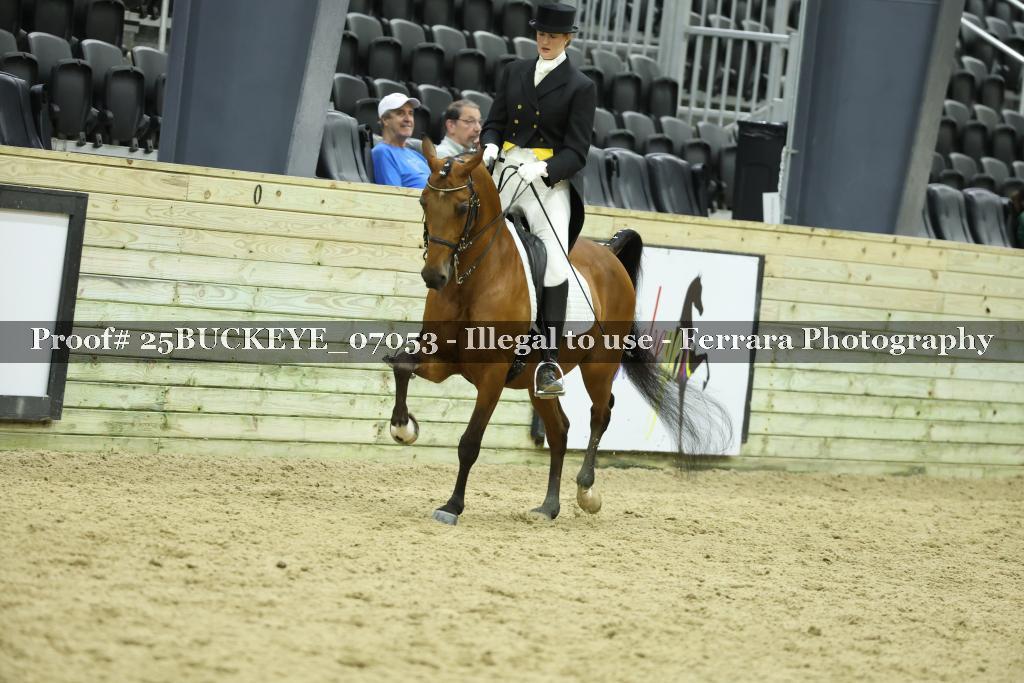 Proof Number 25BUCKEYE_07053