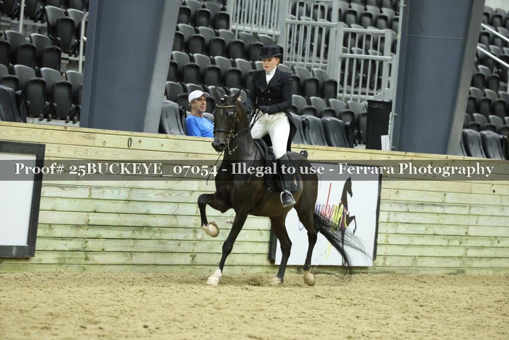 Proof Number 25BUCKEYE_07054