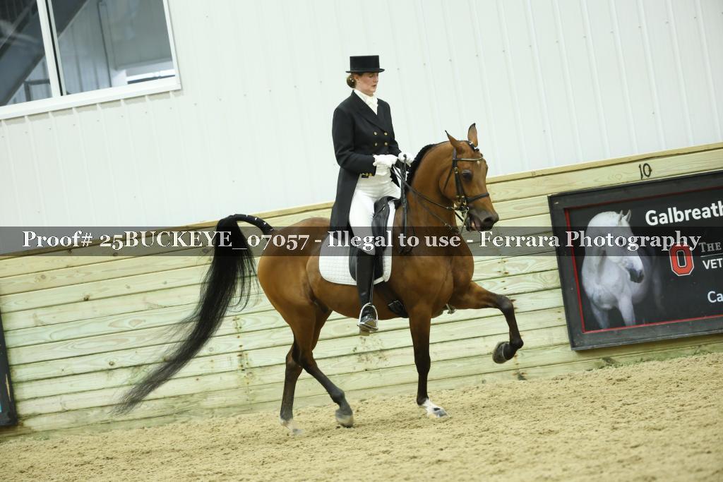 Proof Number 25BUCKEYE_07057