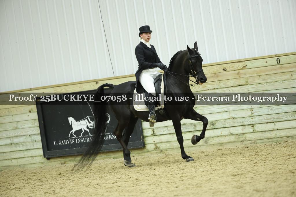 Proof Number 25BUCKEYE_07058