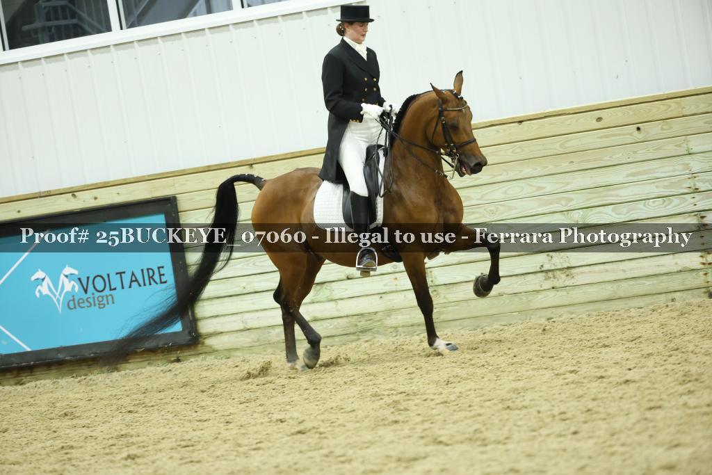 Proof Number 25BUCKEYE_07060