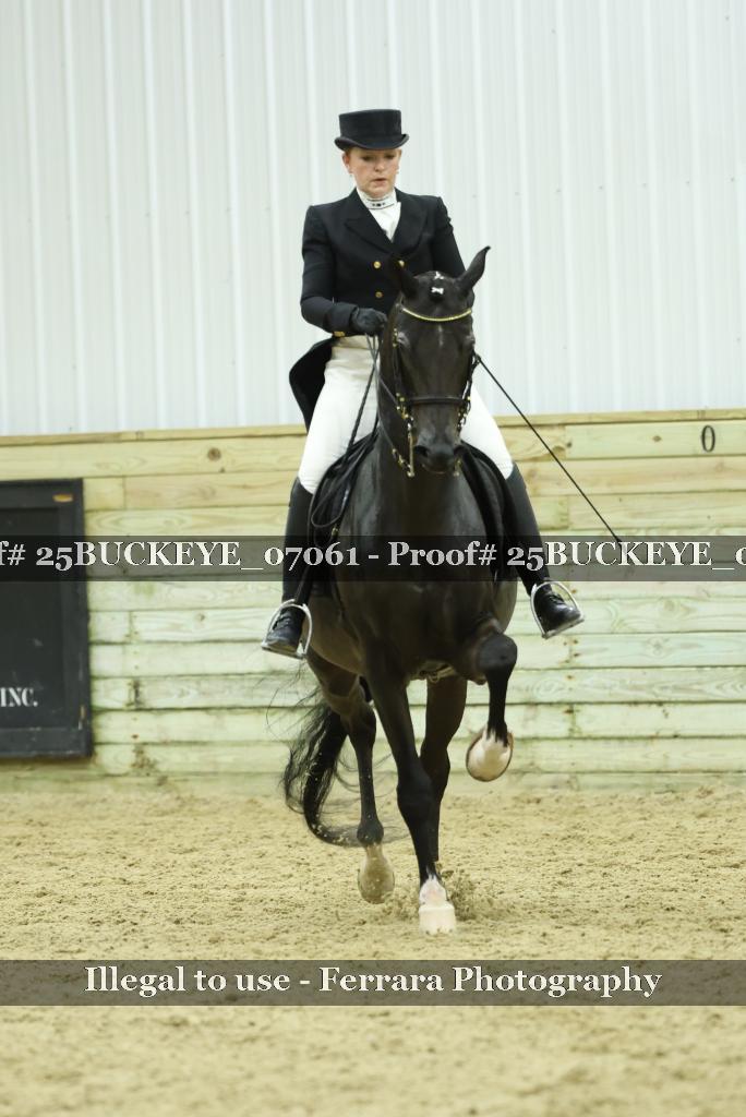 Proof Number 25BUCKEYE_07061