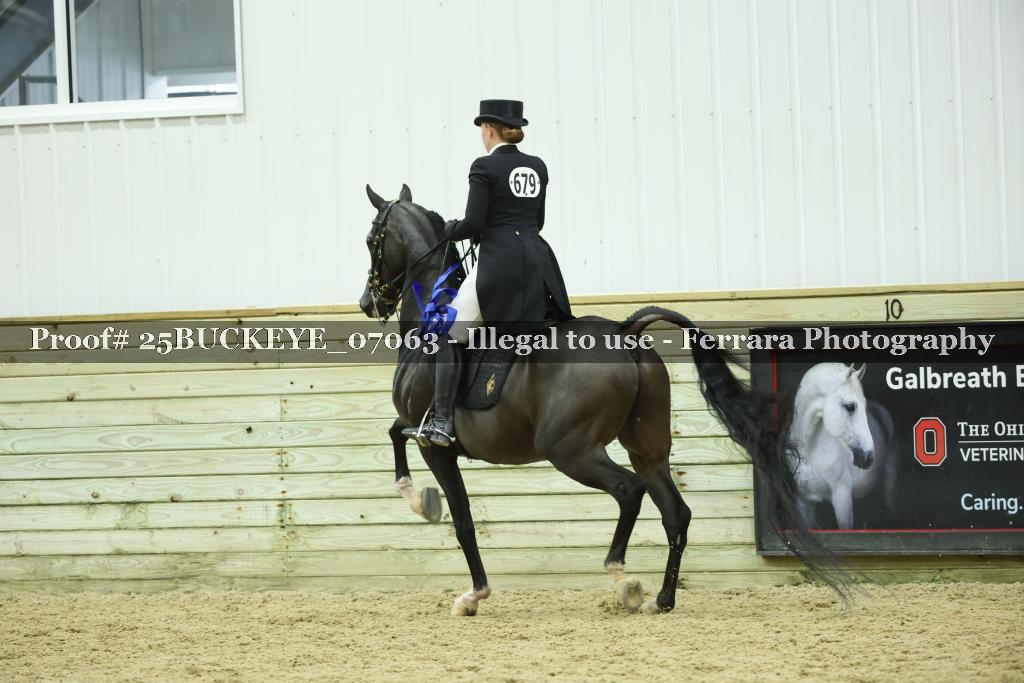 Proof Number 25BUCKEYE_07063
