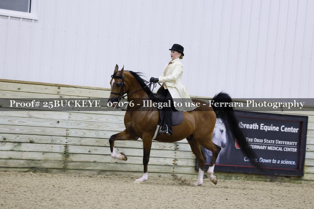 Proof Number 25BUCKEYE_07076
