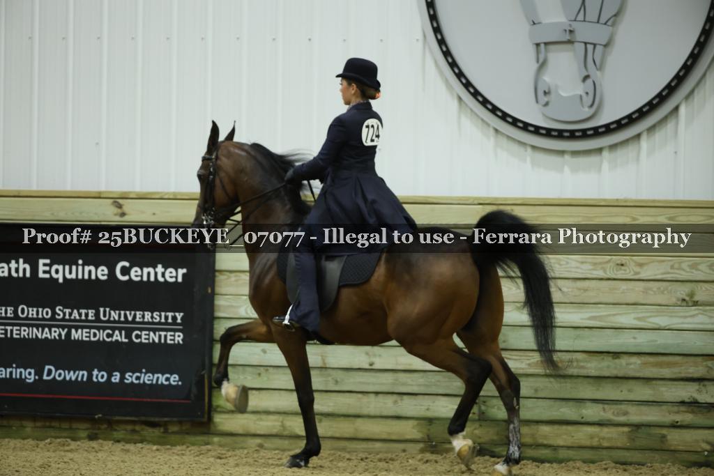 Proof Number 25BUCKEYE_07077