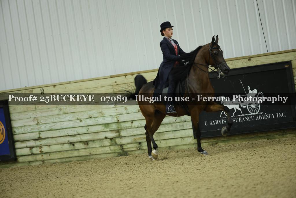 Proof Number 25BUCKEYE_07089