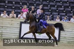 25BUCKEYE_07100 thumbnail