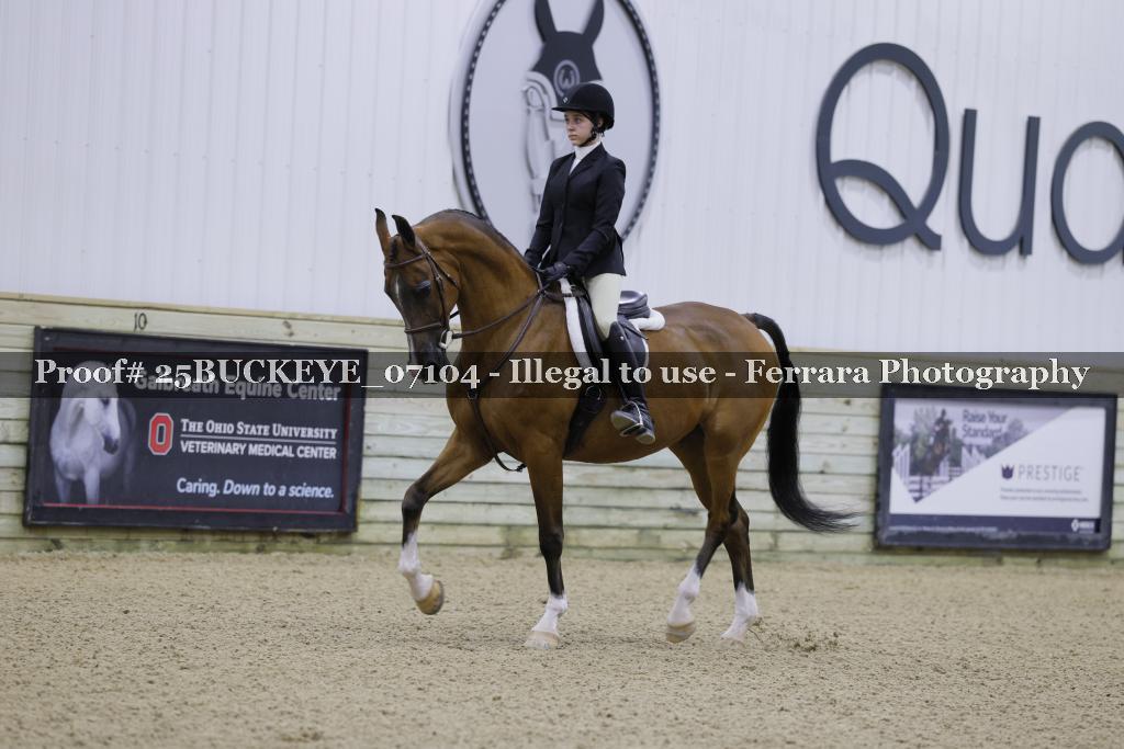 Proof Number 25BUCKEYE_07104