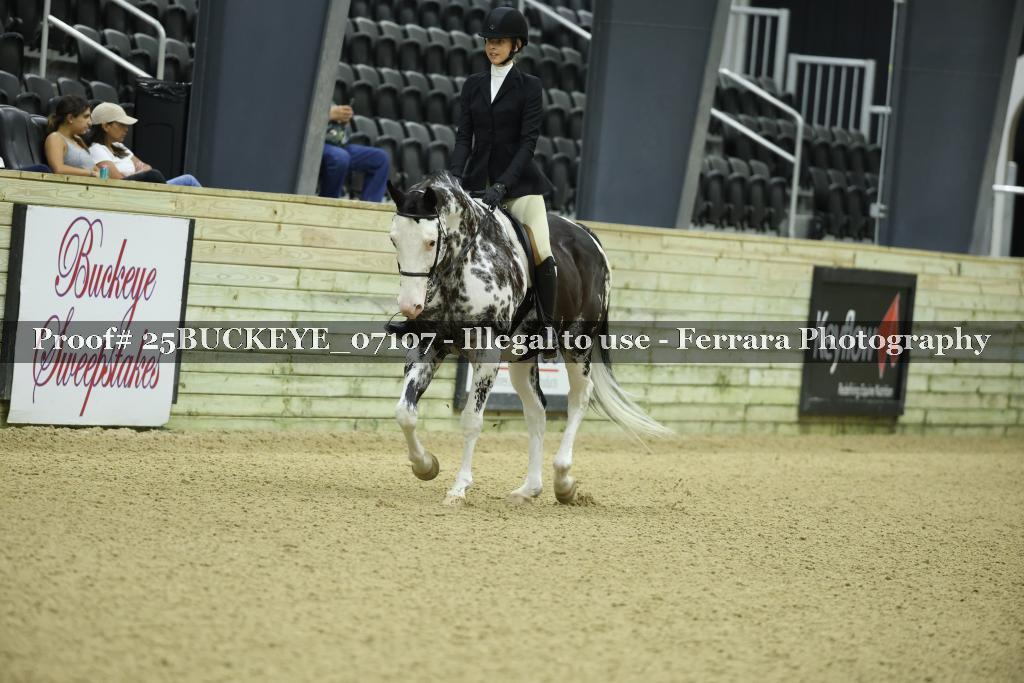 Proof Number 25BUCKEYE_07107