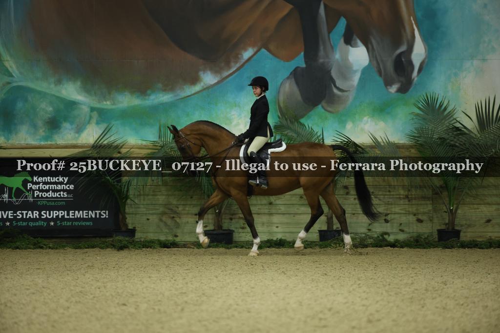Proof Number 25BUCKEYE_07127