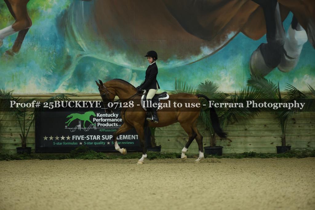 Proof Number 25BUCKEYE_07128