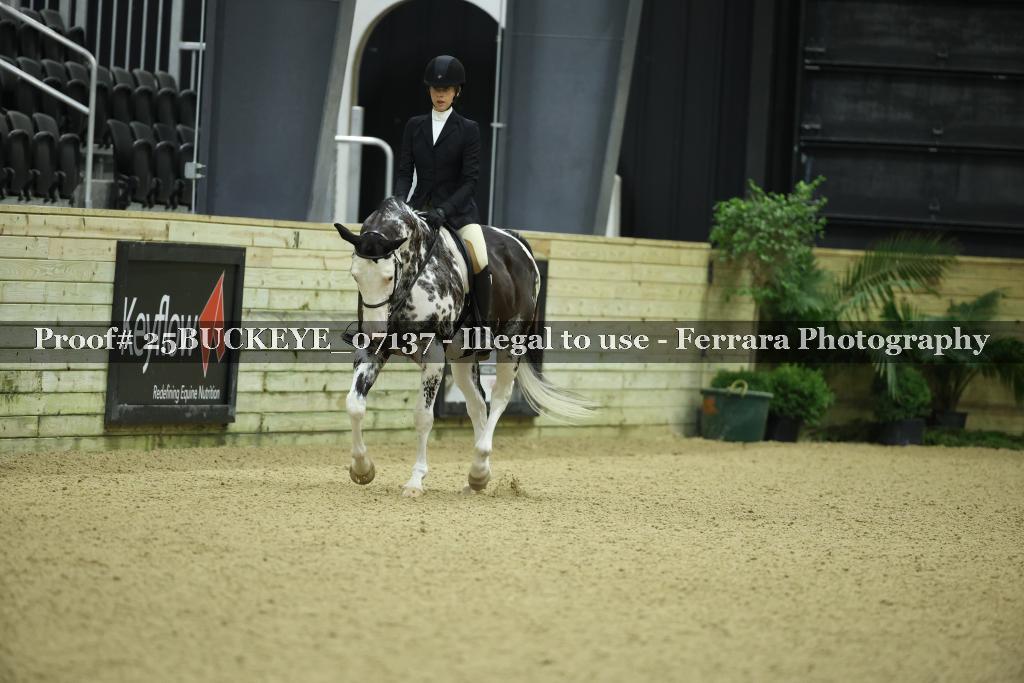 Proof Number 25BUCKEYE_07137