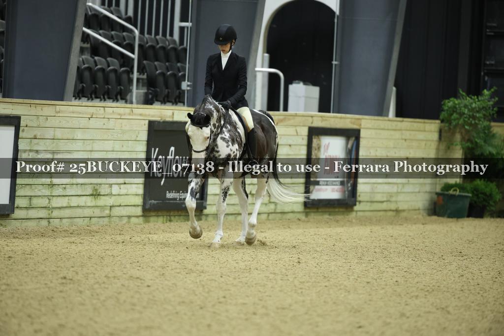 Proof Number 25BUCKEYE_07138