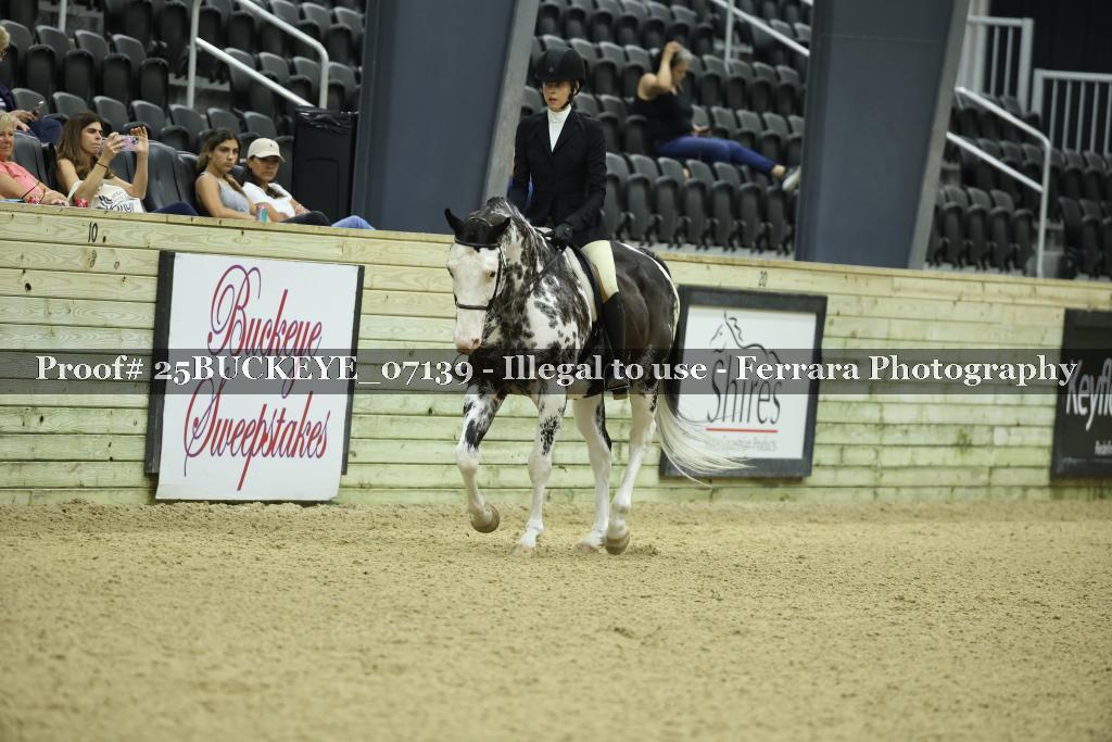 Proof Number 25BUCKEYE_07139
