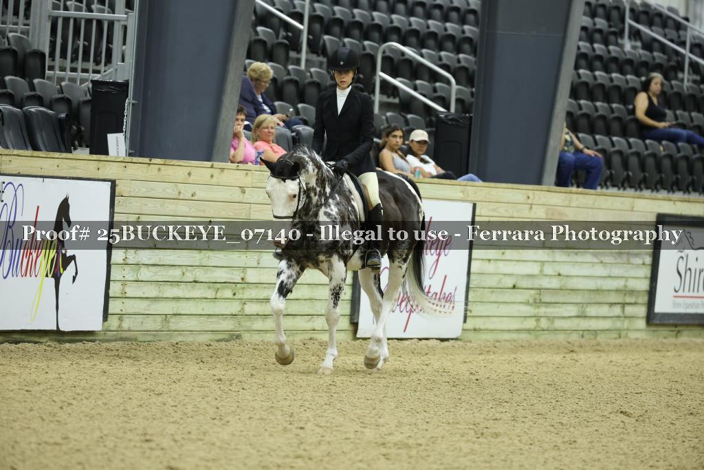 Proof Number 25BUCKEYE_07140