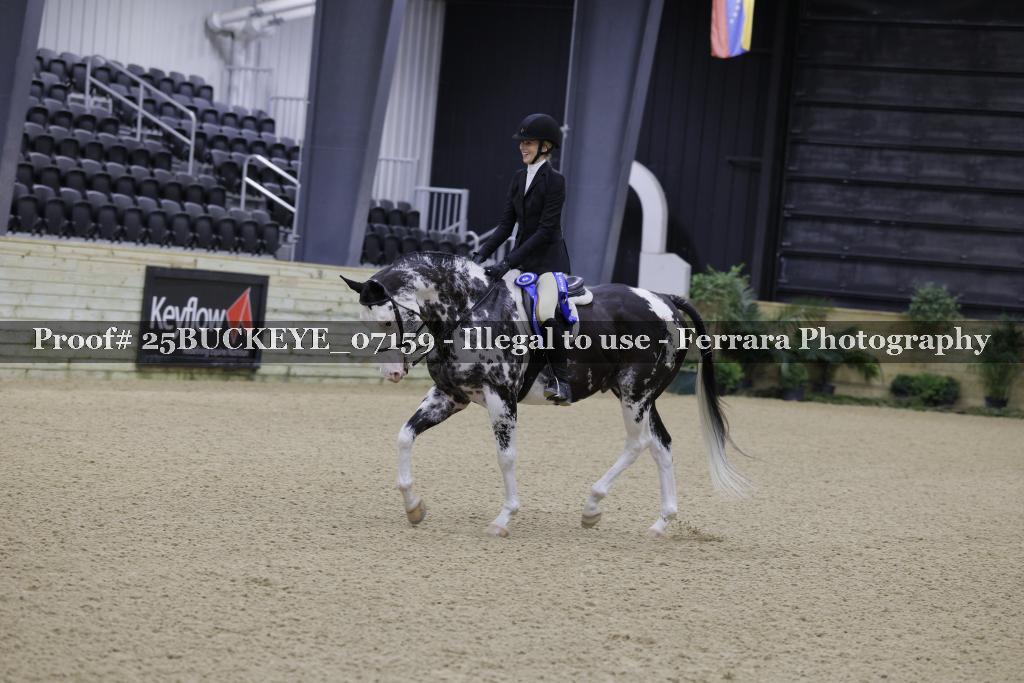 Proof Number 25BUCKEYE_07159