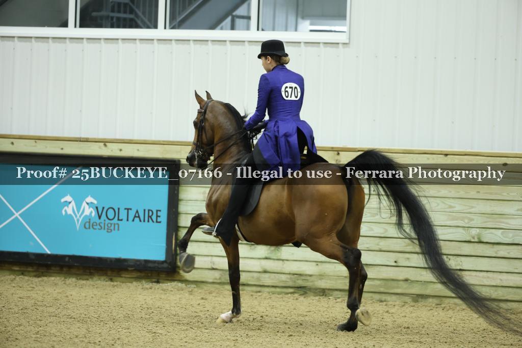 Proof Number 25BUCKEYE_07166
