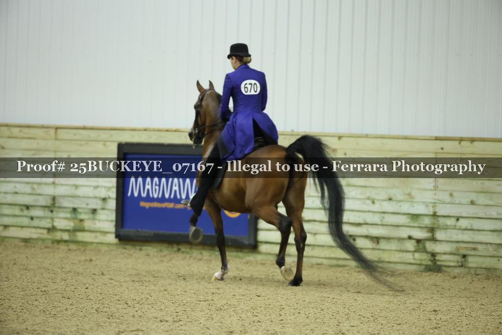 Proof Number 25BUCKEYE_07167