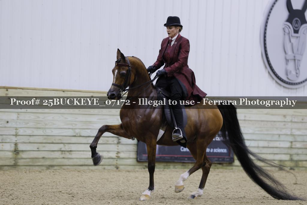 Proof Number 25BUCKEYE_07172